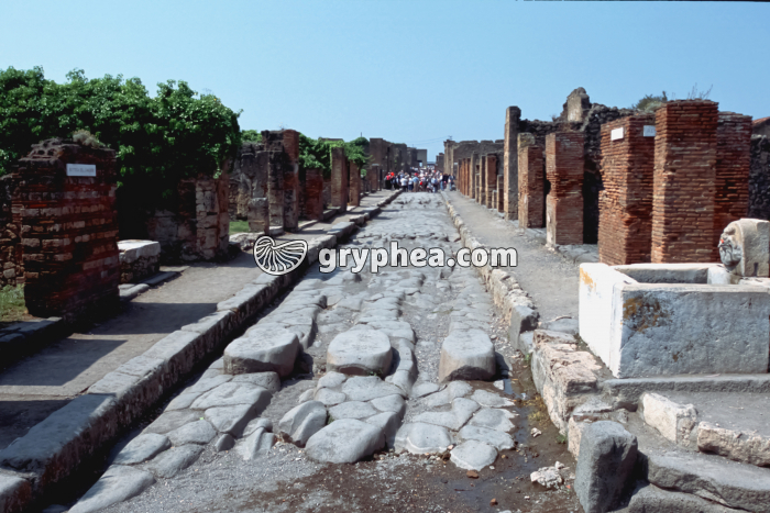 Pompéi (Italie) - gryphea.com